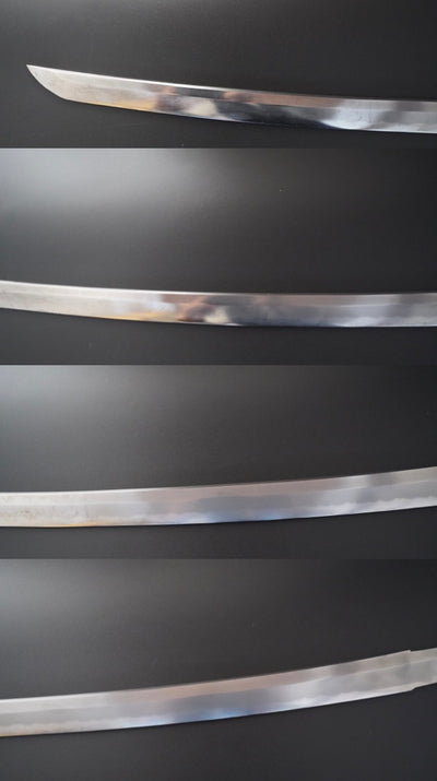 Japanese Imperial Navy Officer's Sword 65cm Meiji era 1900s Samegawa Koshirae
